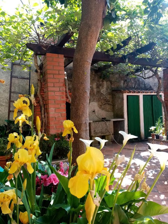 Nossa Casa Na Aldeia Apartment Vişeu Exterior foto