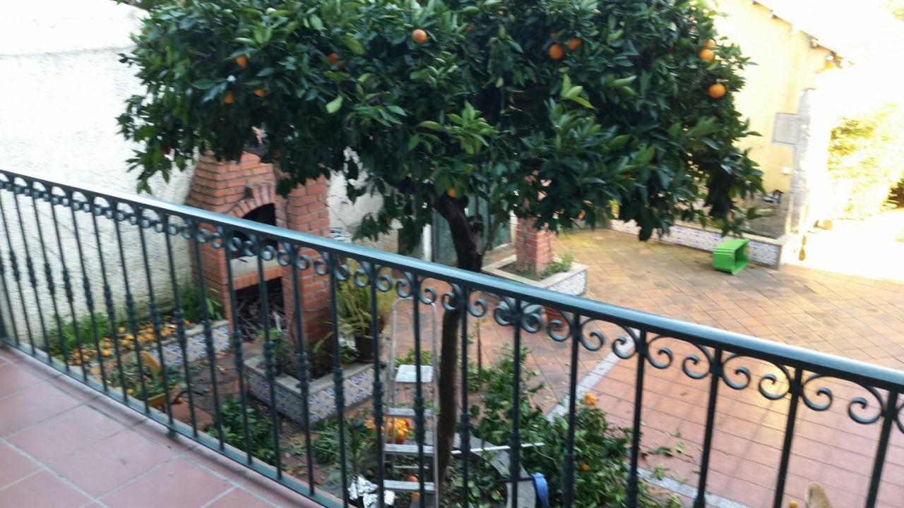 Nossa Casa Na Aldeia Apartment Vişeu Exterior foto